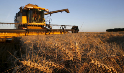 Казахстан оставит зерно «сидеть дома» и чужое не примет